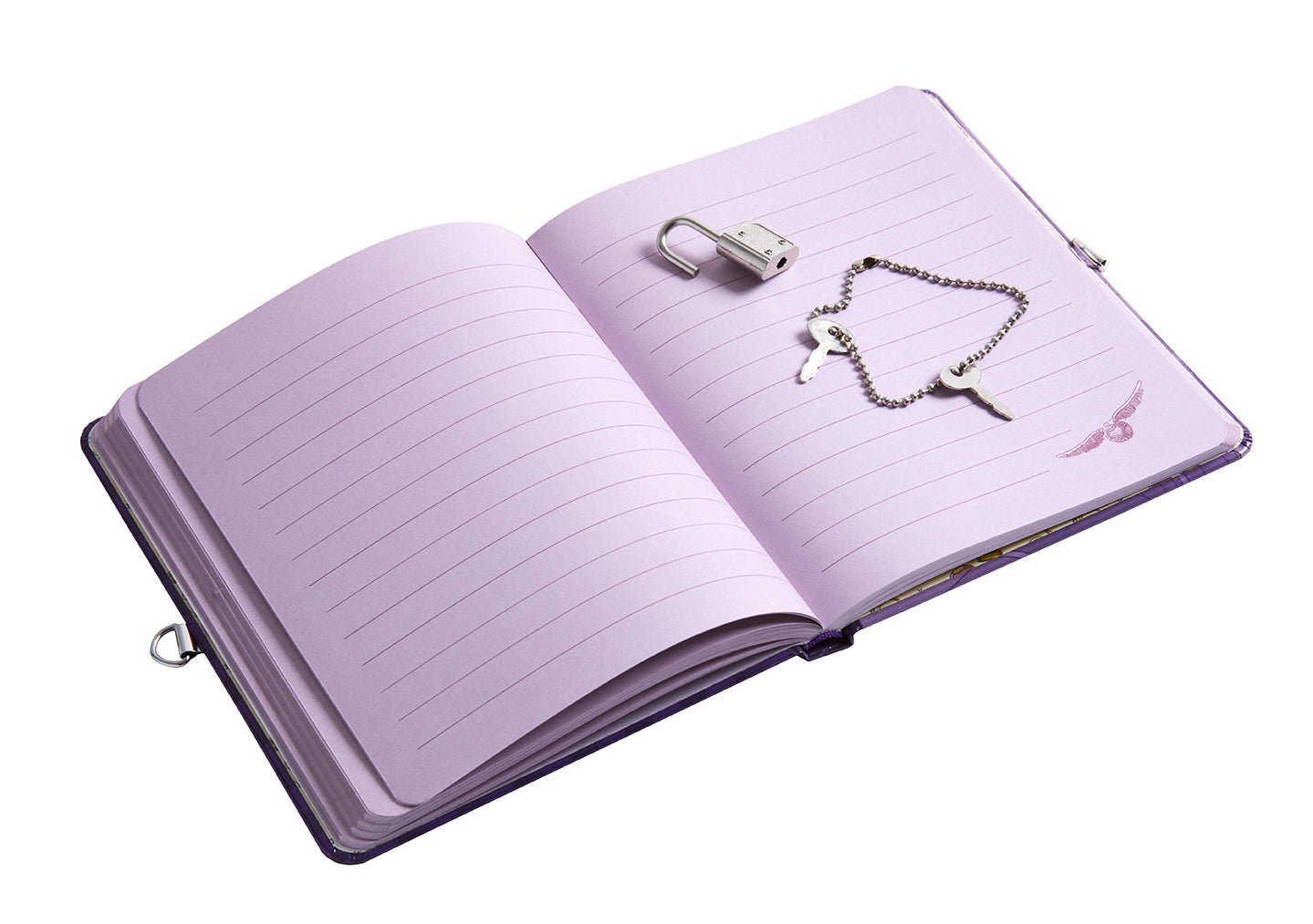 Harry Potter: Quidditch Lock & Key Diary