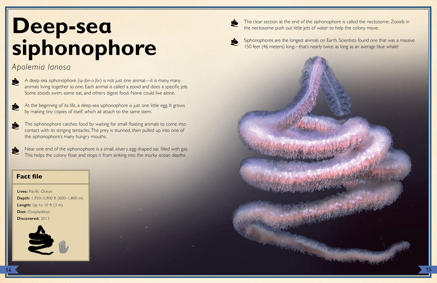 The Magnificent Book of Creatures of the Abyss