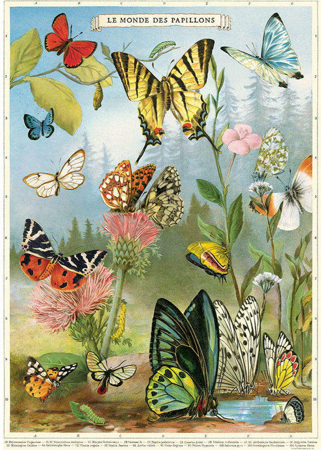 World of Butterflies Scientific Chart