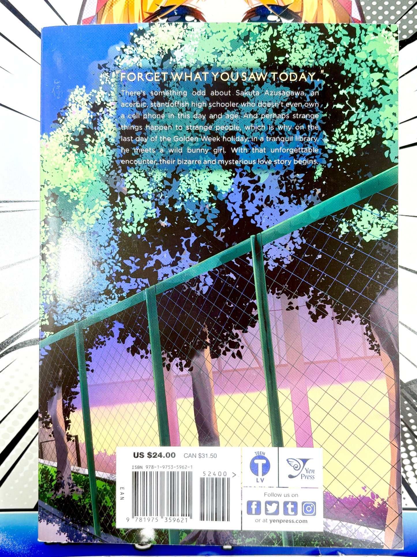 Rascal Does Not Dream of Bunny Girl Senpai Vol 1