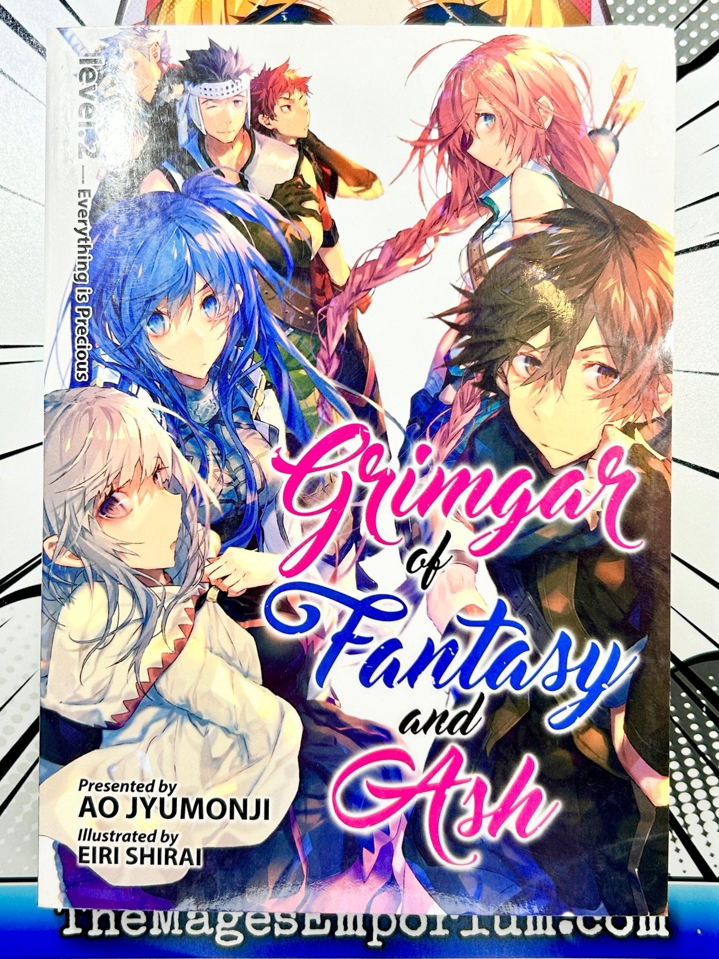 Grimgar of Fantasy and Ash Vol 2 Light Novel
