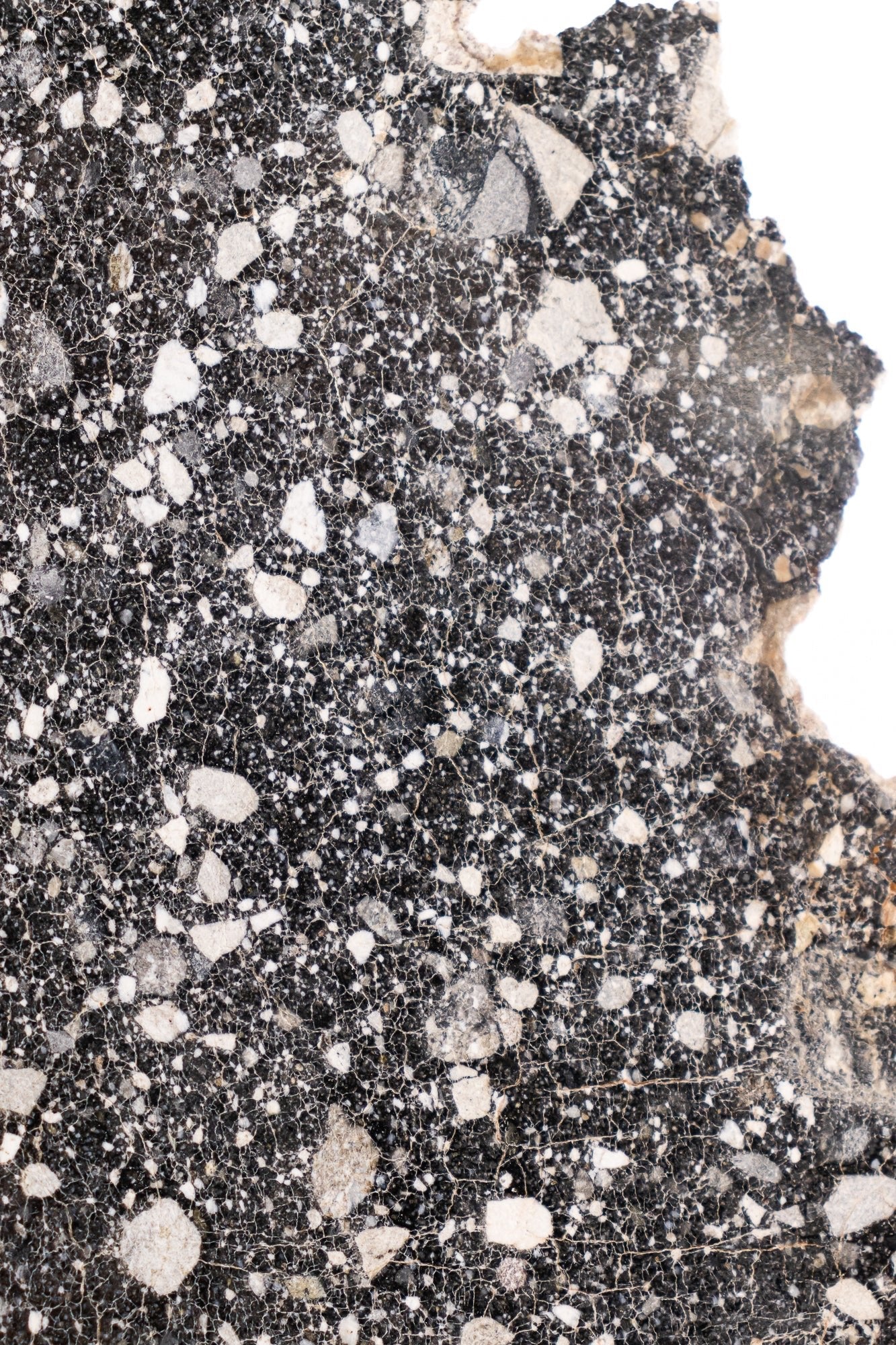 Lunar Meteorite NWA14685