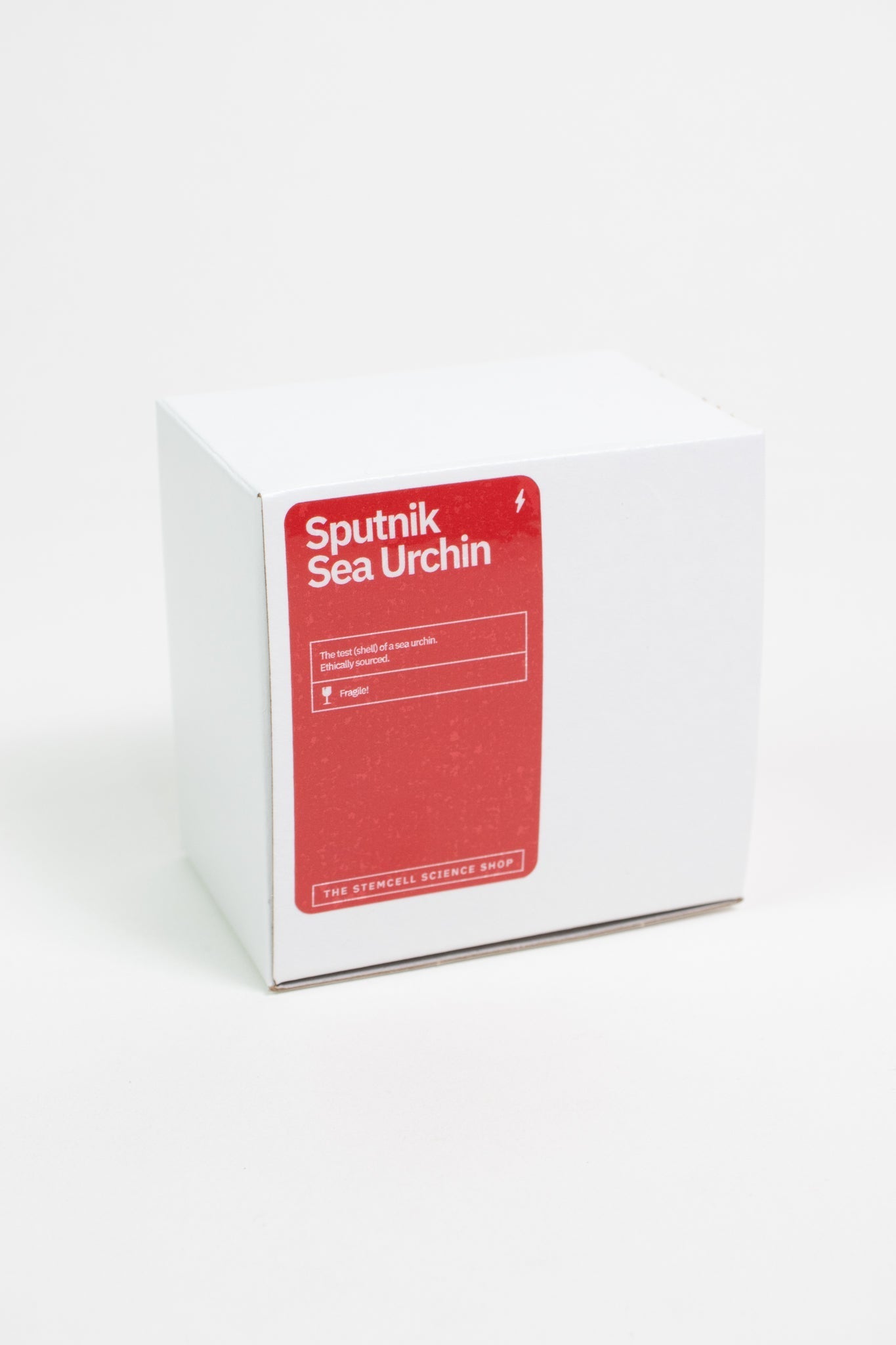 Sputnik Urchin
