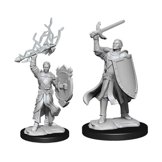 D&D Nolzur's Marvelous Miniatures: Half-Elf Paladin