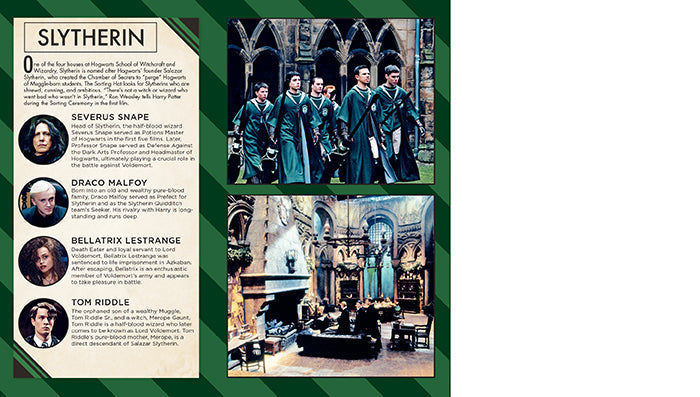 Harry Potter: Slytherin Ruled Pocket Journal