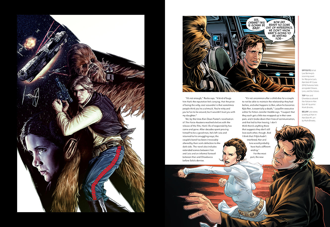 Star Wars Icons: Han Solo