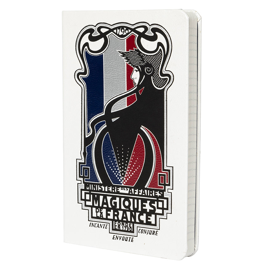 Fantastic Beasts: The Crimes of Grindelwald: Minisere des Affaires Magiques Hardcover Ruled Journal
