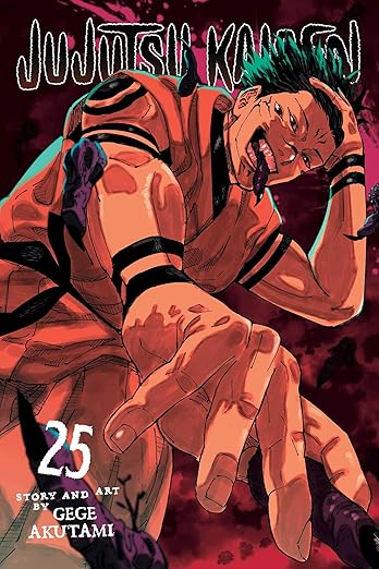 Jujutsu Kaisen Vol 25