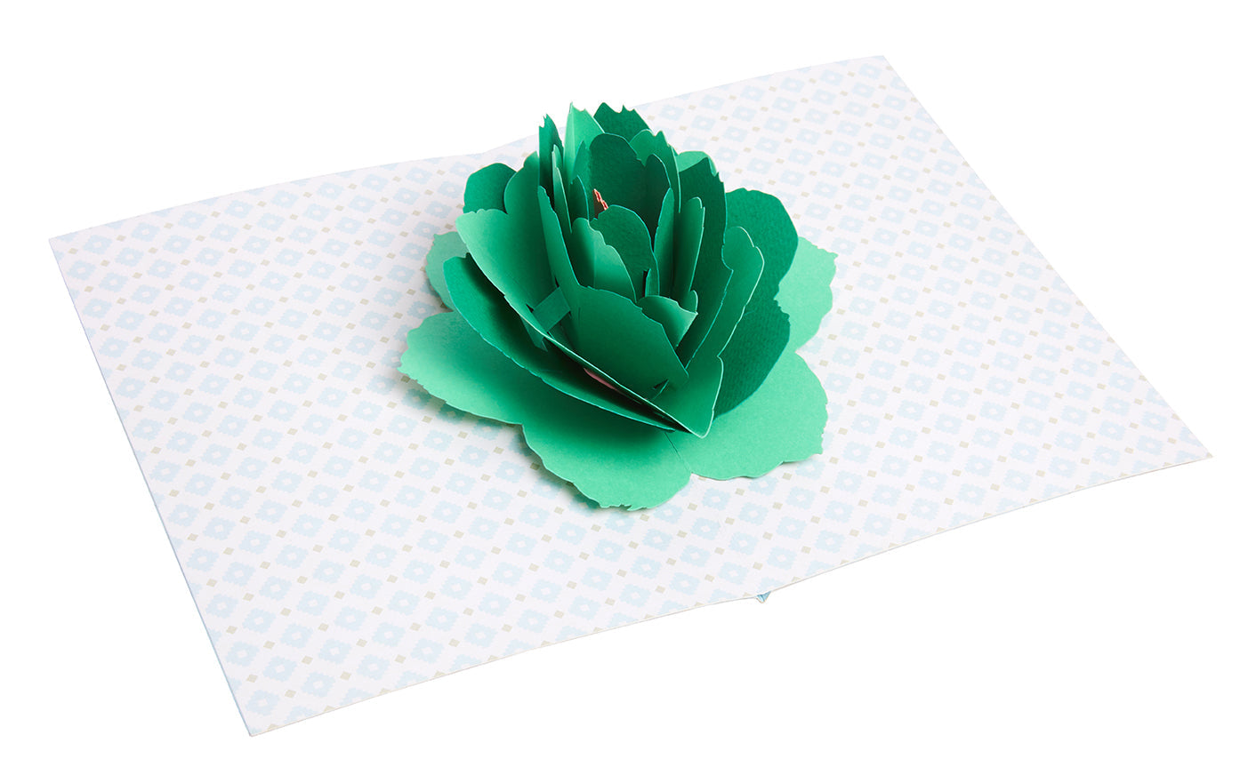 Succulent Signature Pop-Up Card [Birthday]