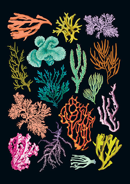 Art of Nature: Under the Sea Sewn Notebook Collection (Set of 3)