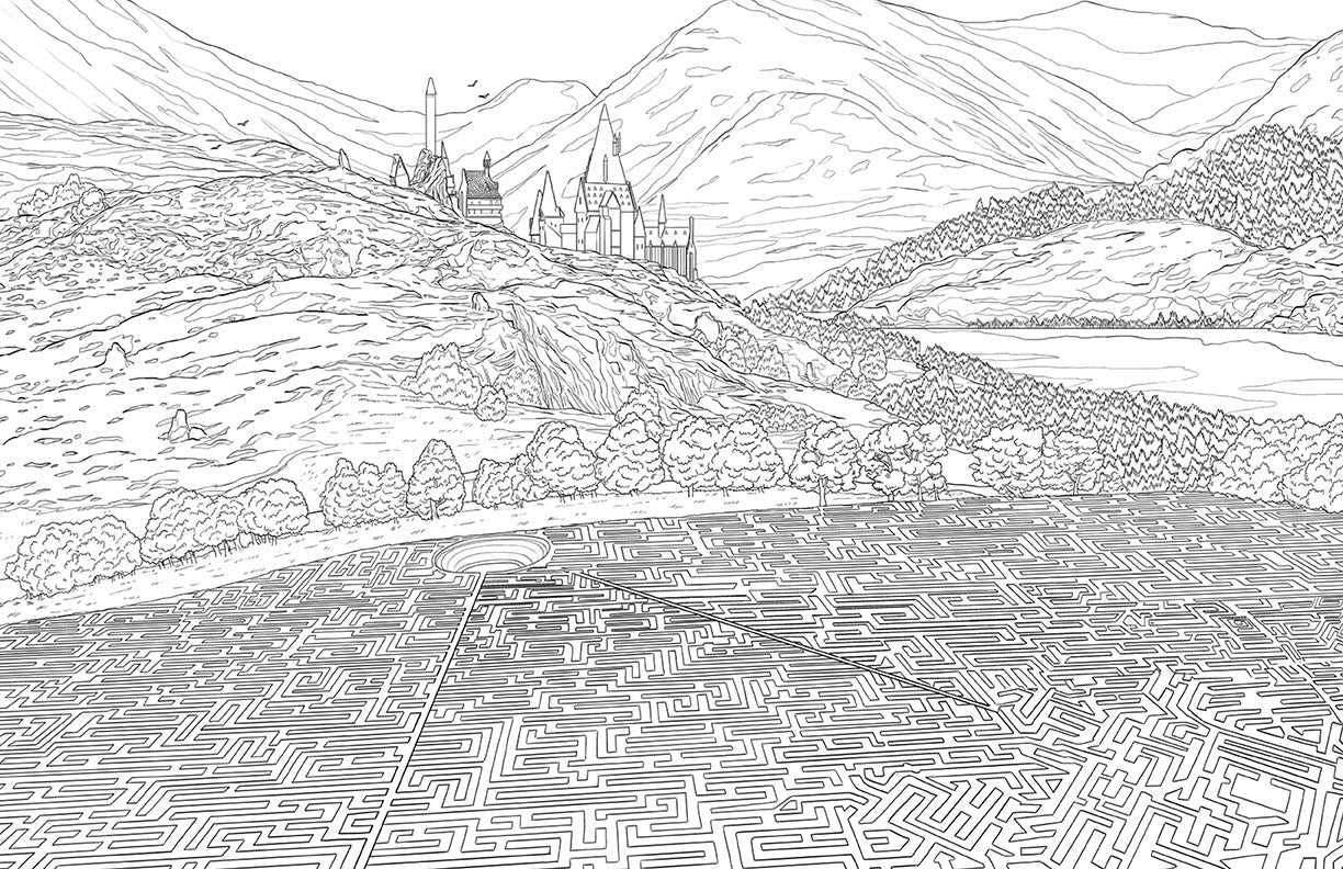 Harry Potter: Hufflepuff House Pride: The Official Coloring Book
