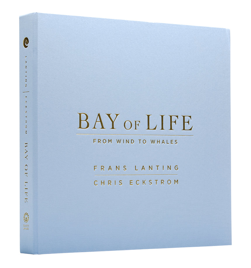 Bay of Life