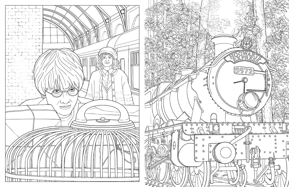 Harry Potter: Travels Through the Wizarding World