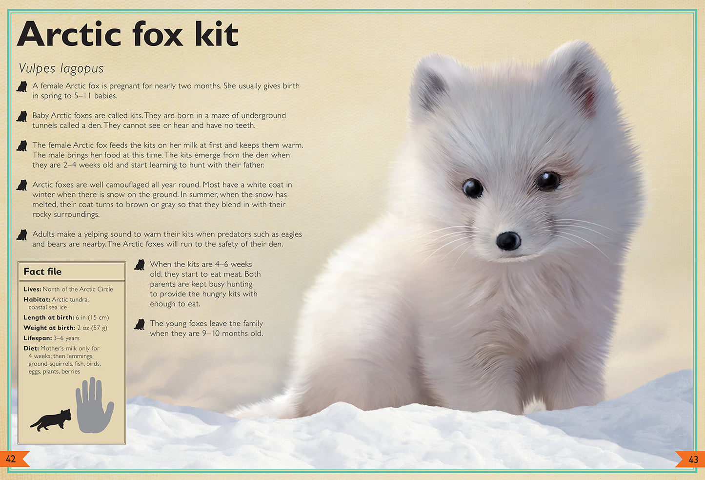 The Magnificent Book of Baby Animals