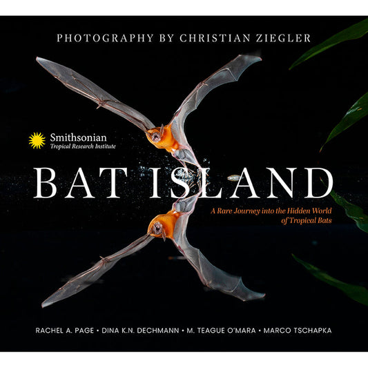 Bat Island
