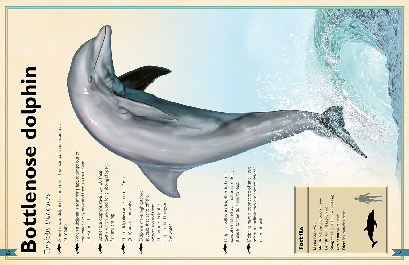 The Magnificent Book of Ocean Creatures