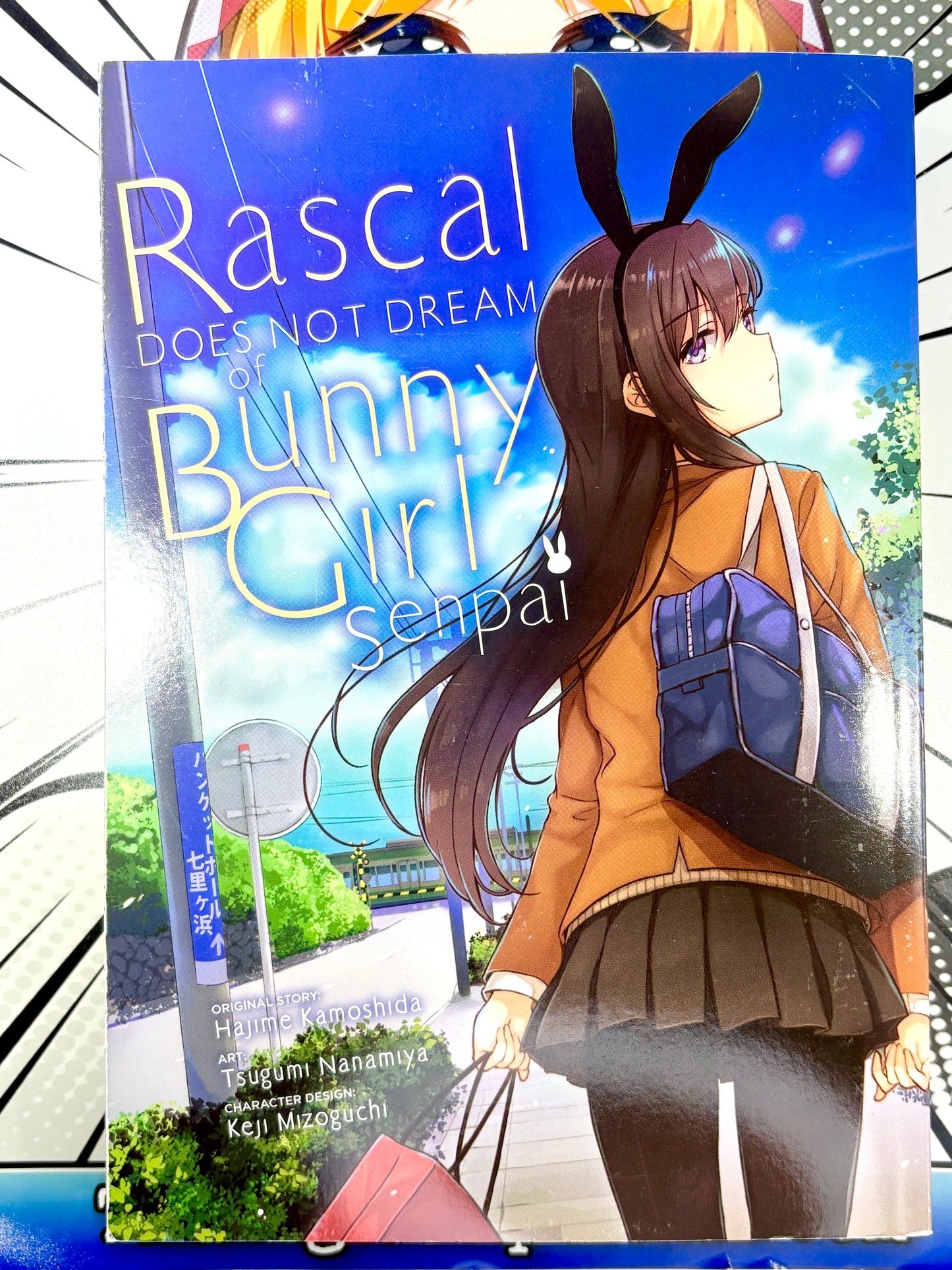 Rascal Does Not Dream of Bunny Girl Senpai Vol 1