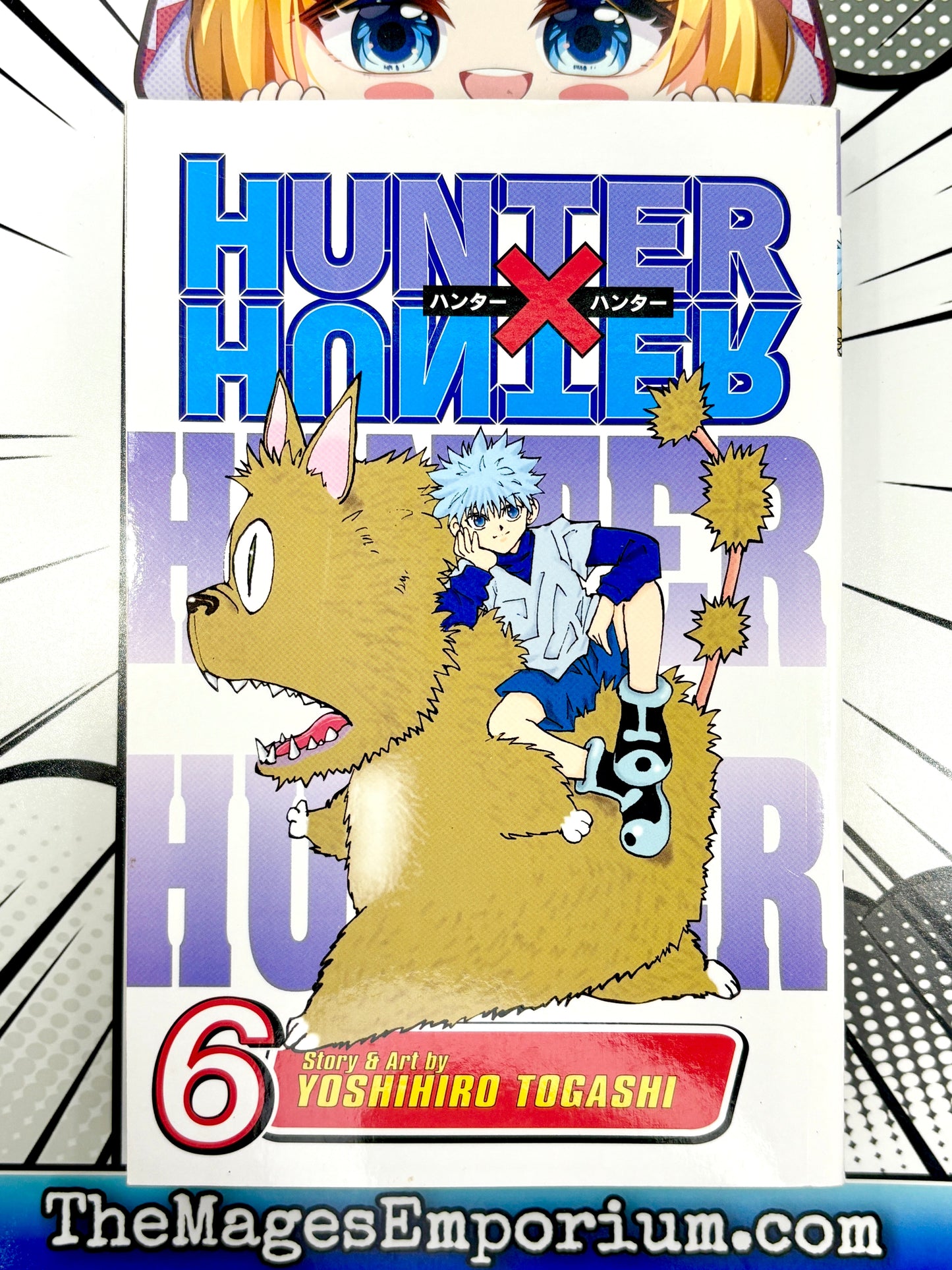 Hunter x Hunter Vol 6