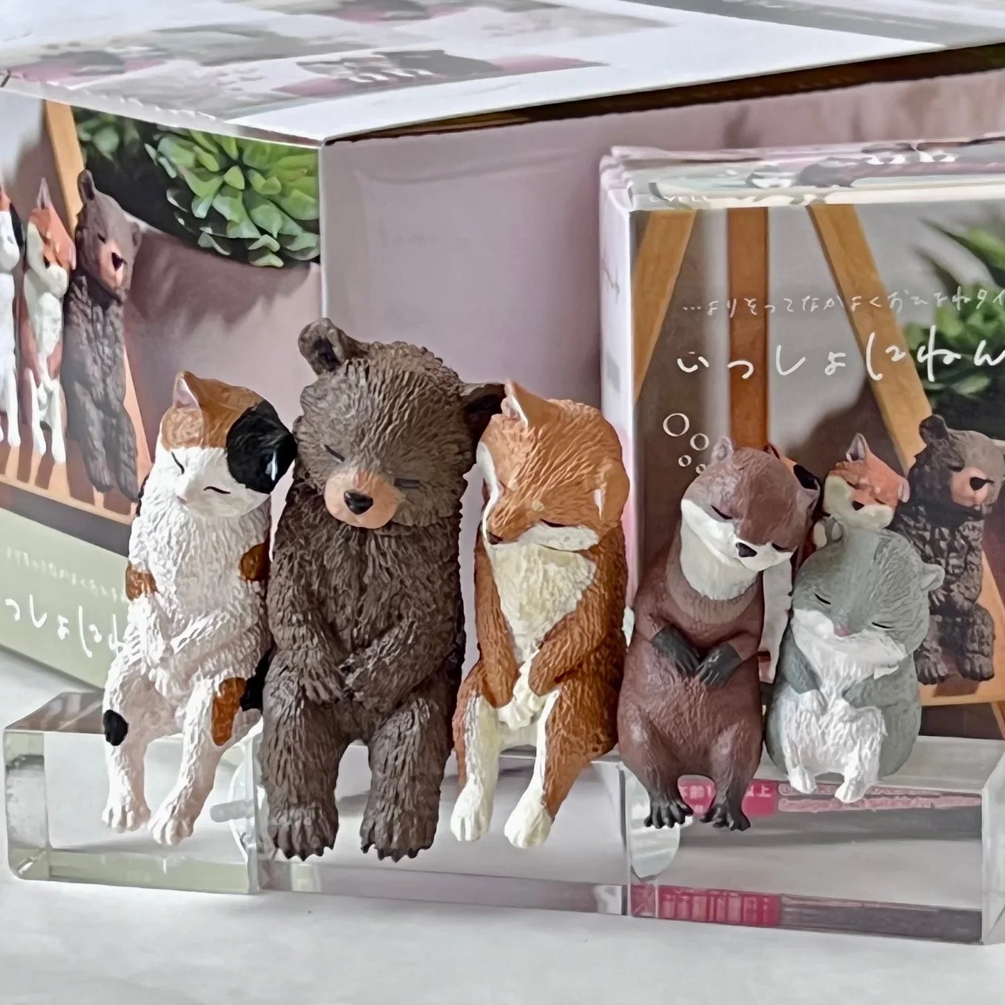 SLEEPY ANIMALS FIGURINE BLIND BOX (1 Blind Box)