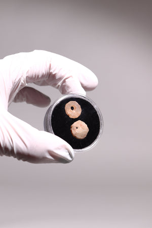 Stone Age Beads from the Sahara Desert