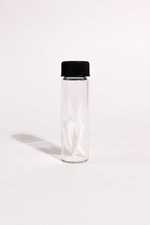 Tusk Shells (Dentalium Mollusk Shells)