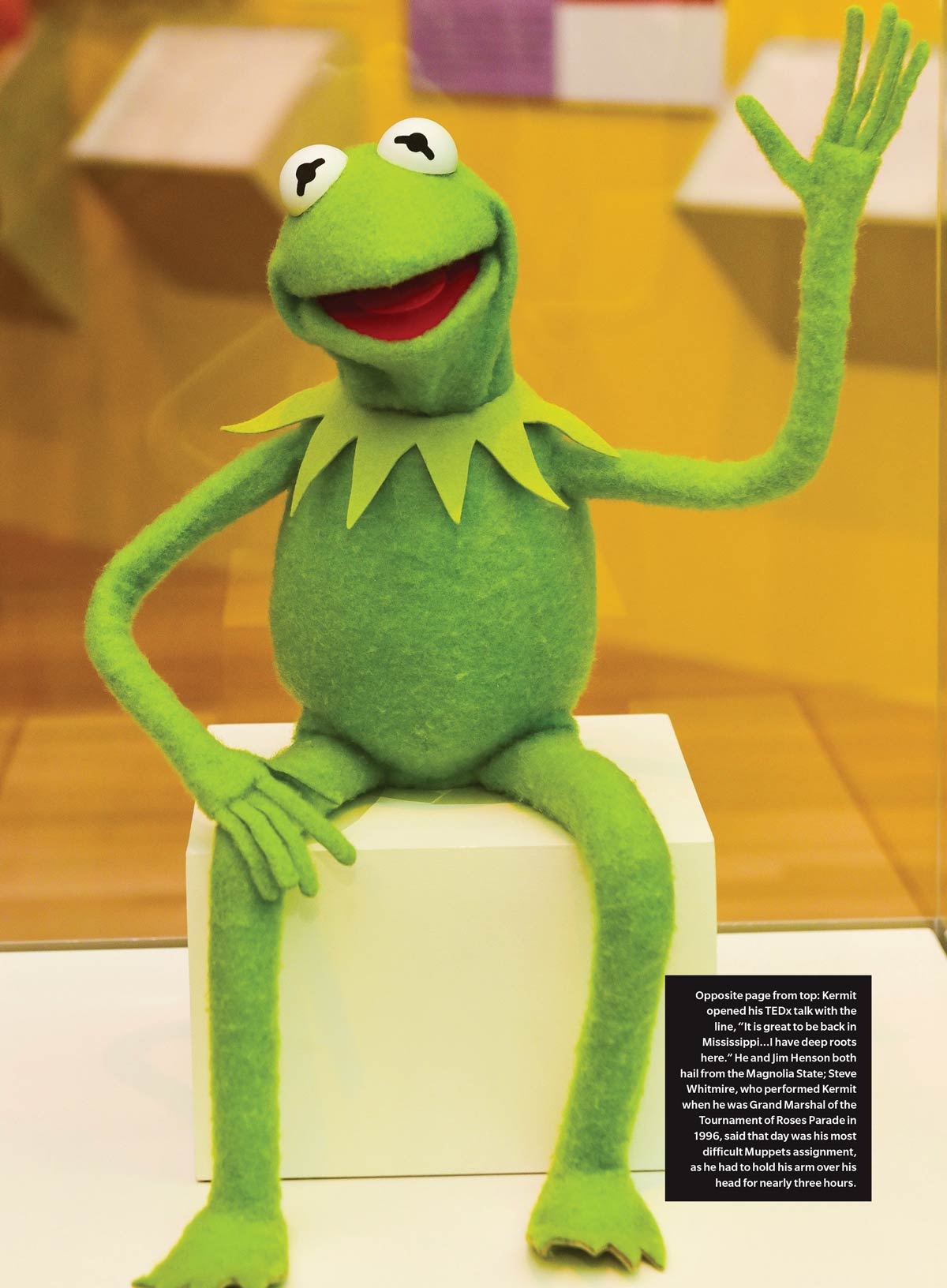 The Muppets - Super Unofficial Fan Guide: 50+ Years Of Fun & Laughs, Celebrate The Muppet Show & Hit Movies, A To Z Of Your Favorite Monsters, Exclusive Sesame Street Muppeteer Shares Secrets & More!