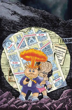 Descriptive image text