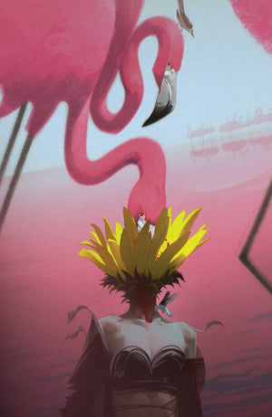 Descriptive image text