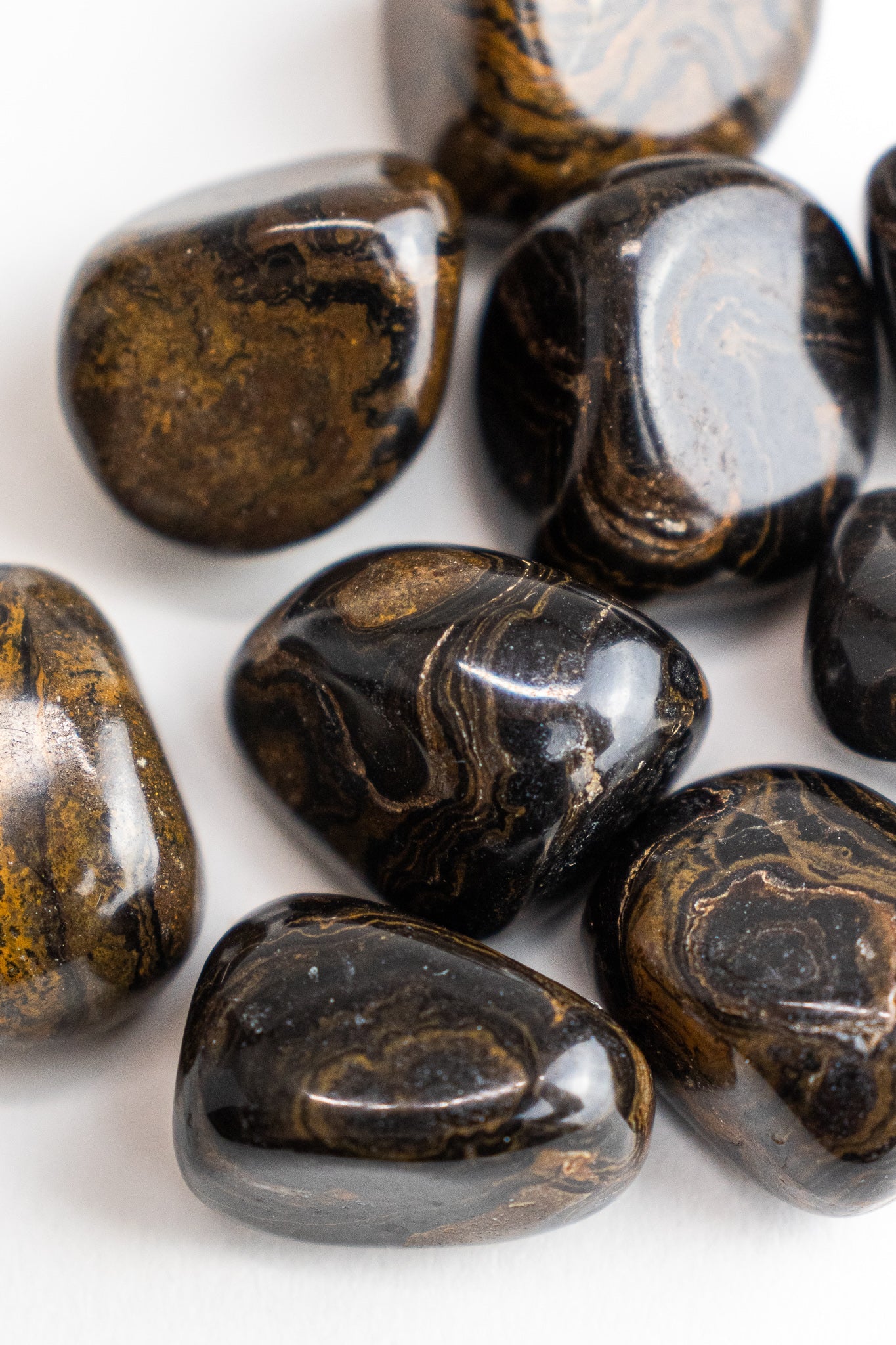 Stromatolite