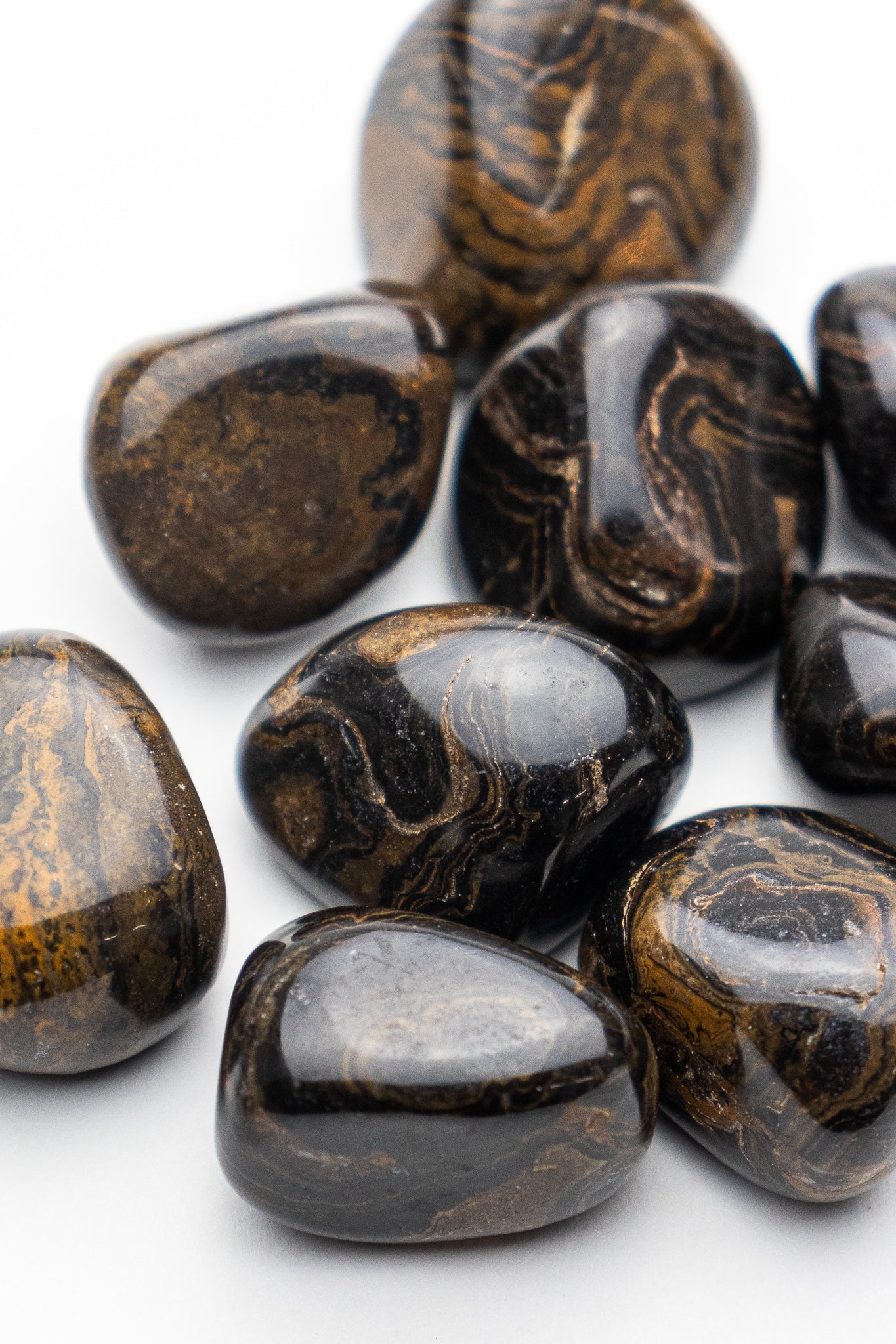 Stromatolite
