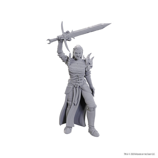 D&D Nolzur's Marvelous Miniatures: Blackguard