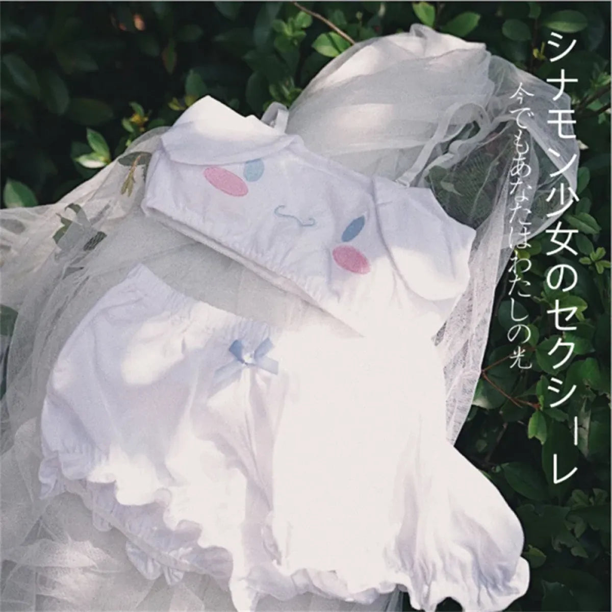 Cute Kawaii Animal Coral Fleece Lingerie Set for Women