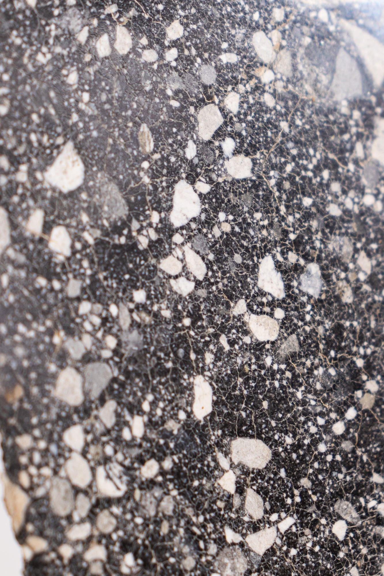 Lunar Meteorite NWA14685