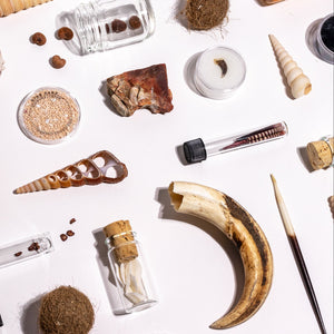 Wildlife Science Collection