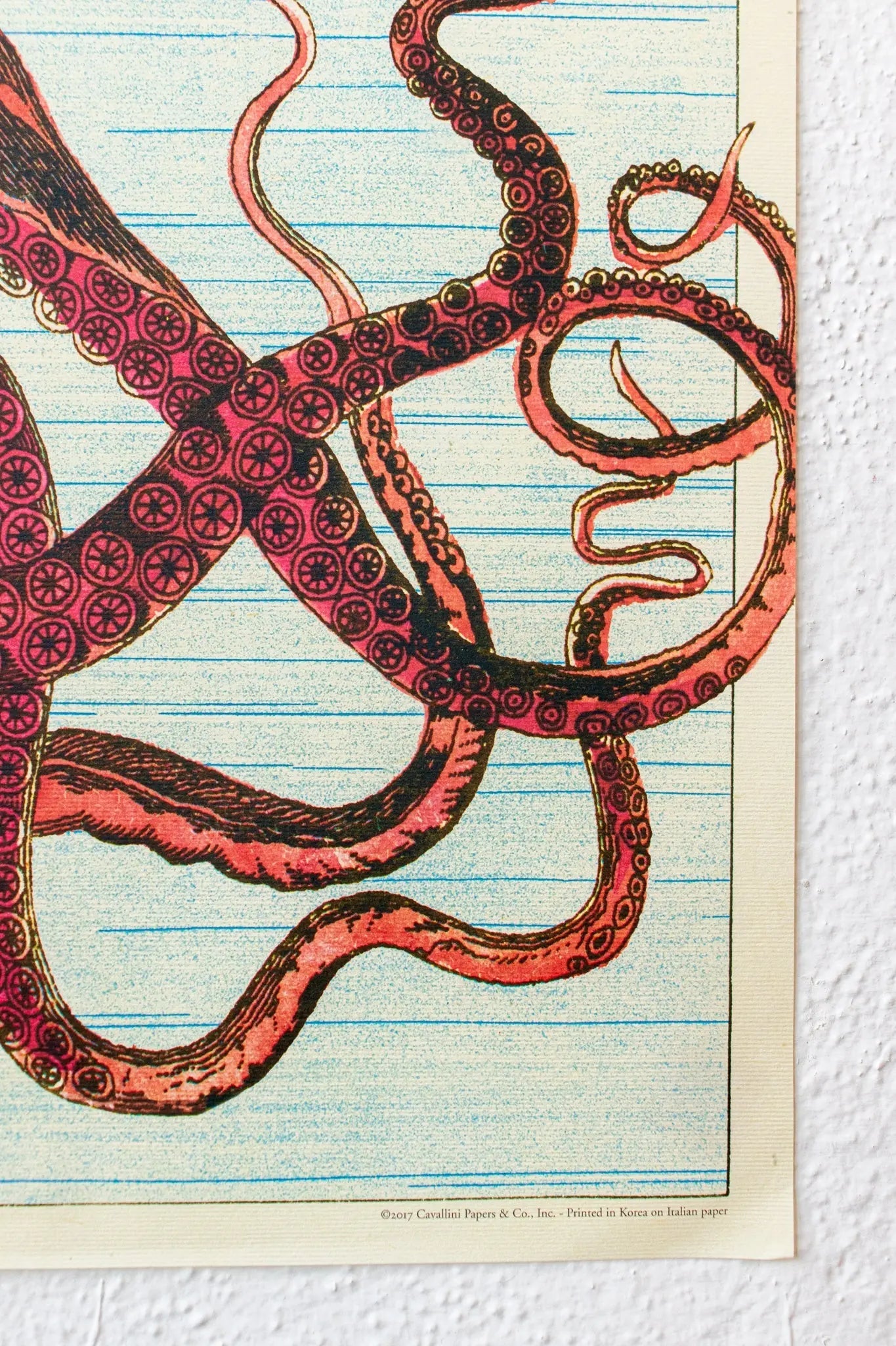 Octopods Scientific Chart