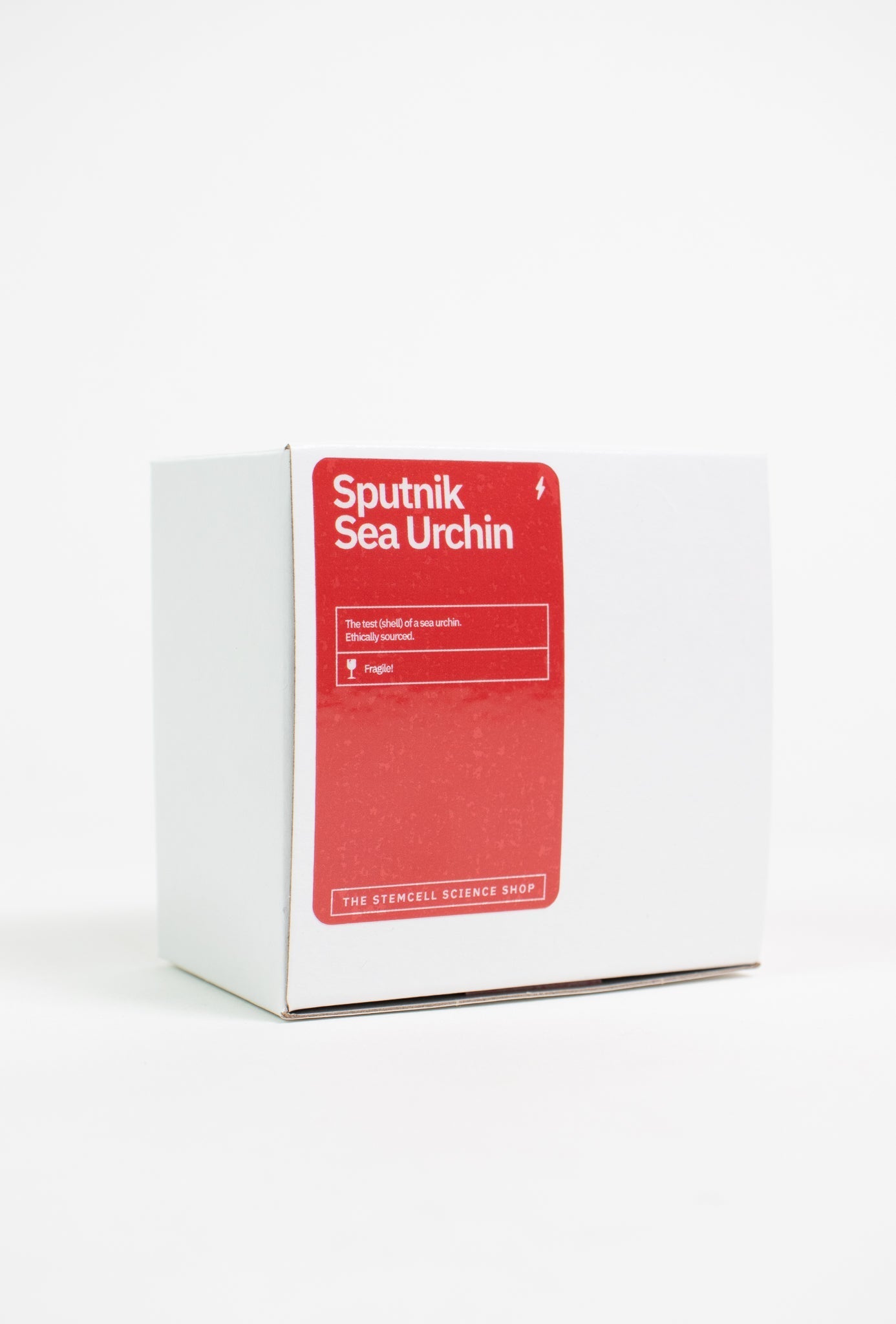 Sputnik Urchin