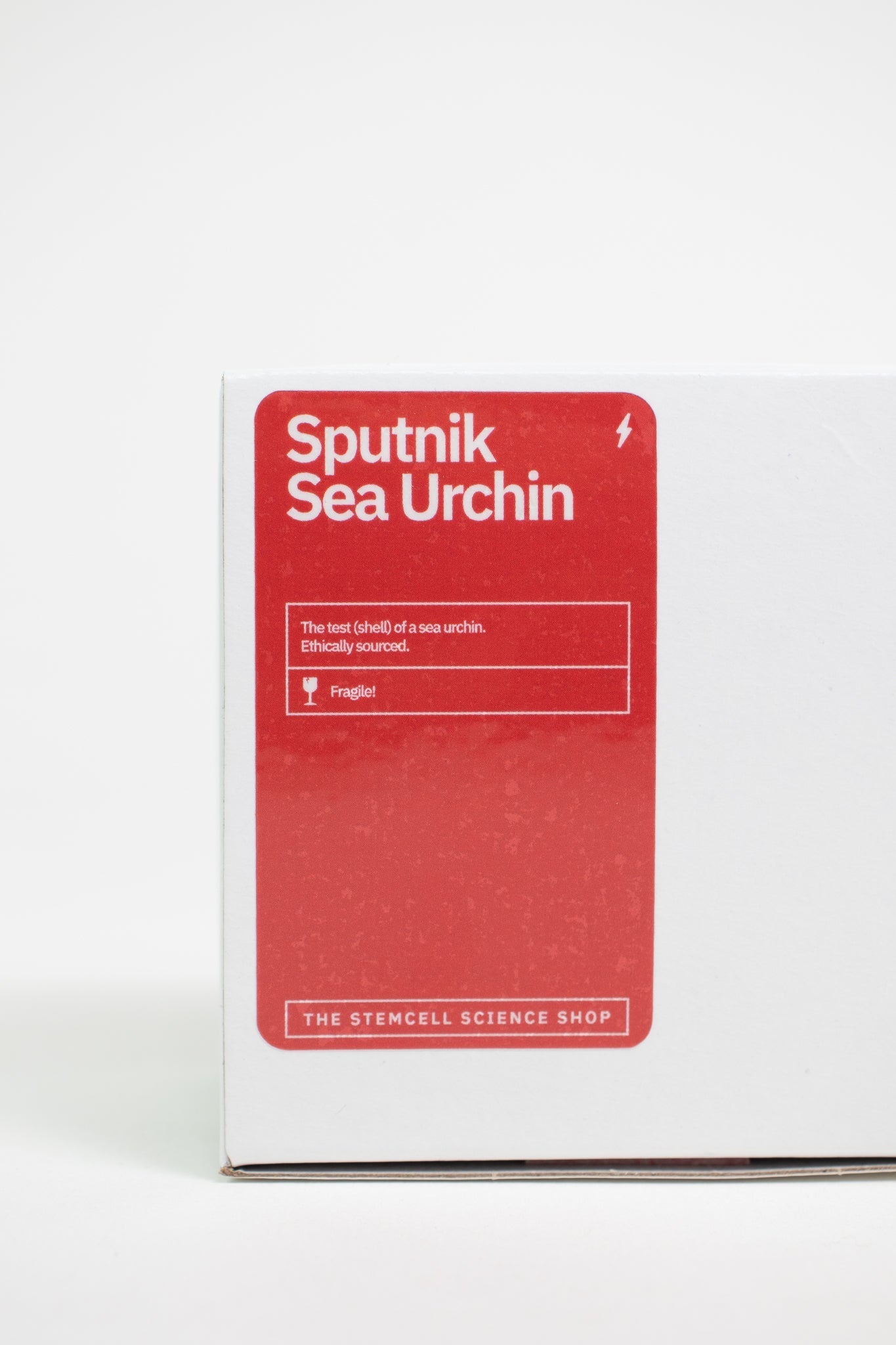 Sputnik Urchin