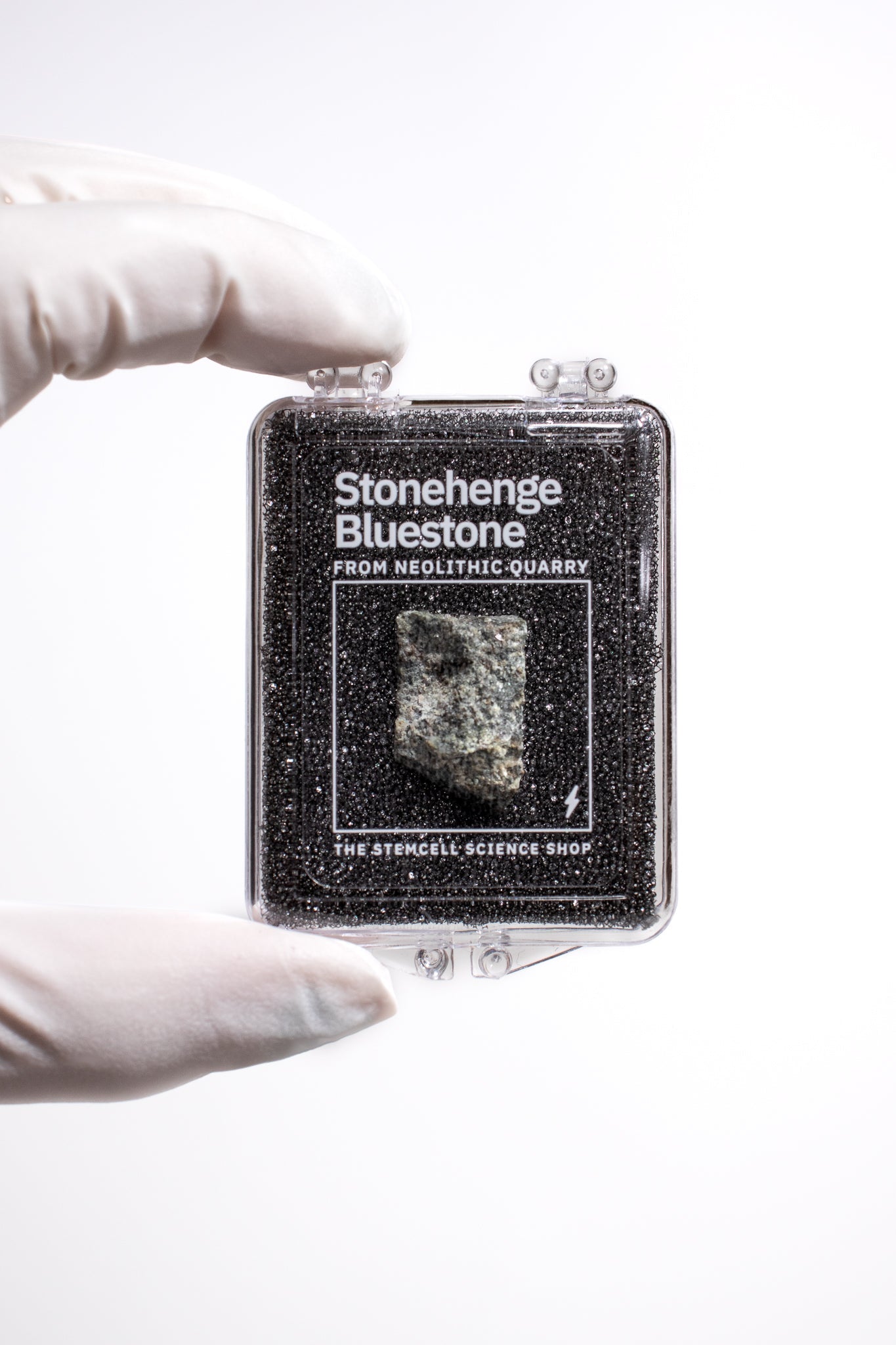 Stonehenge Quarry Fragment