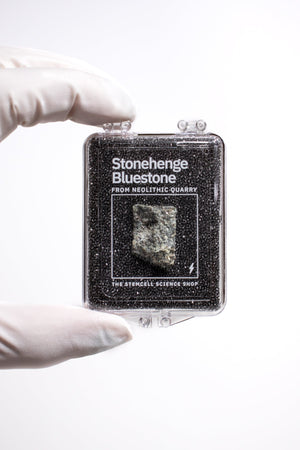 Stonehenge Quarry Fragment
