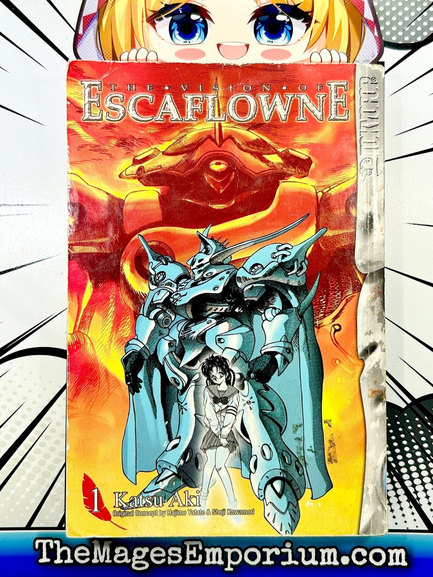 The Vision of Escaflowne Vol 1