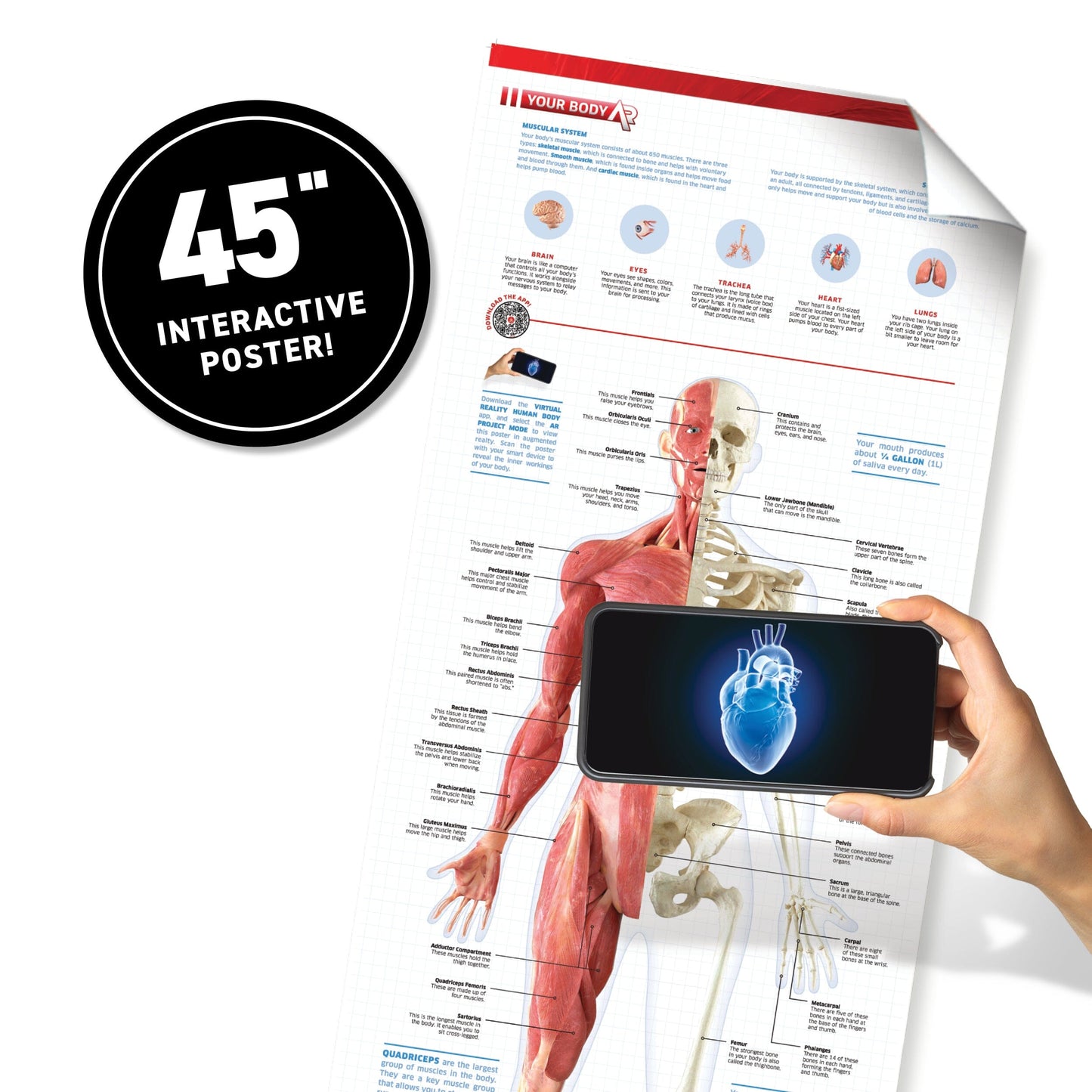 Virtual Reality Human Body Discovery Gift Set w/ DK Book