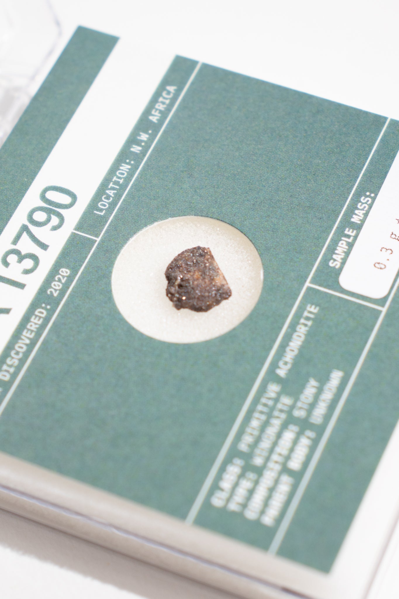 Winonite Meteorite NWA 13790