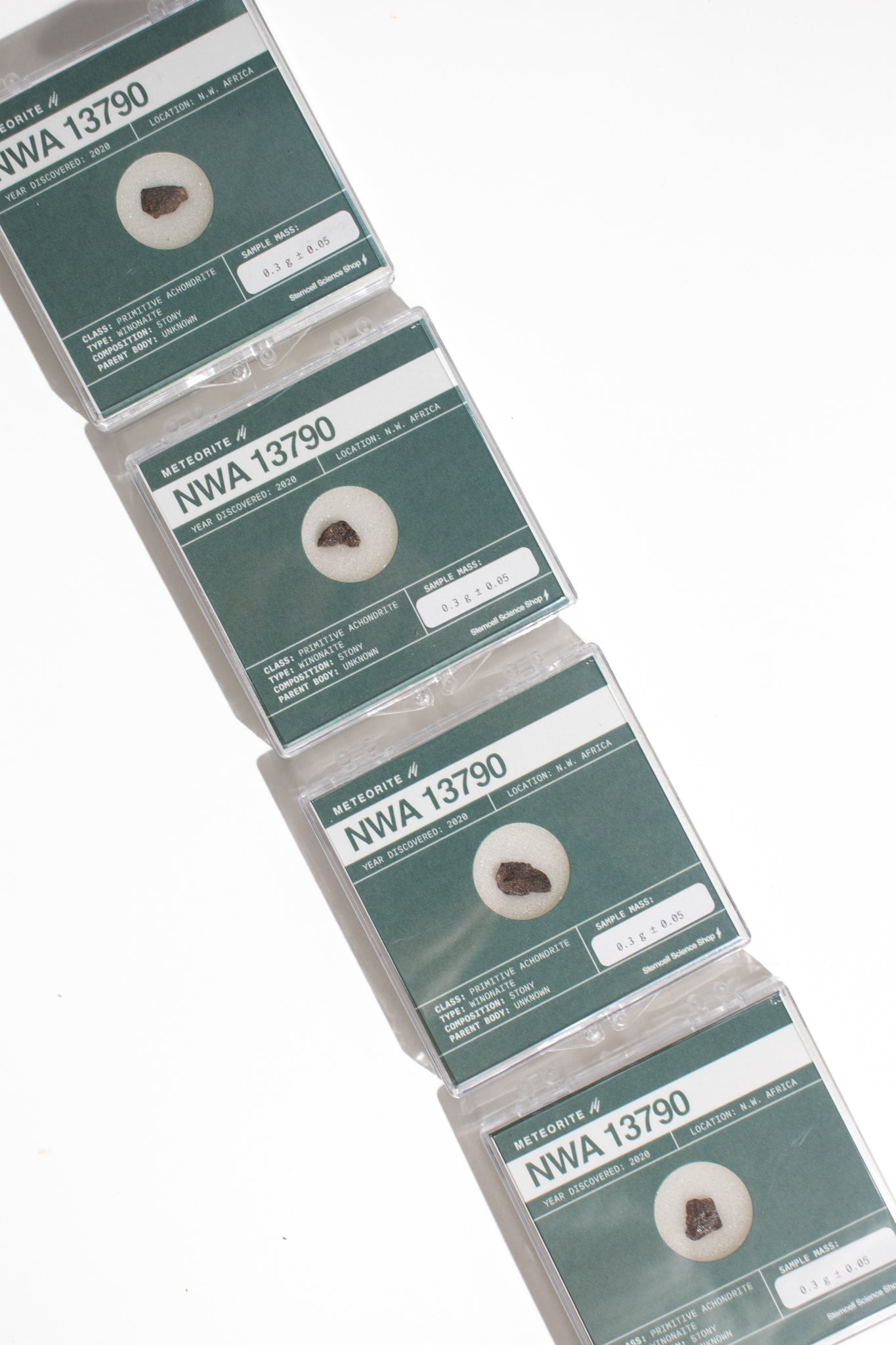 Winonite Meteorite NWA 13790