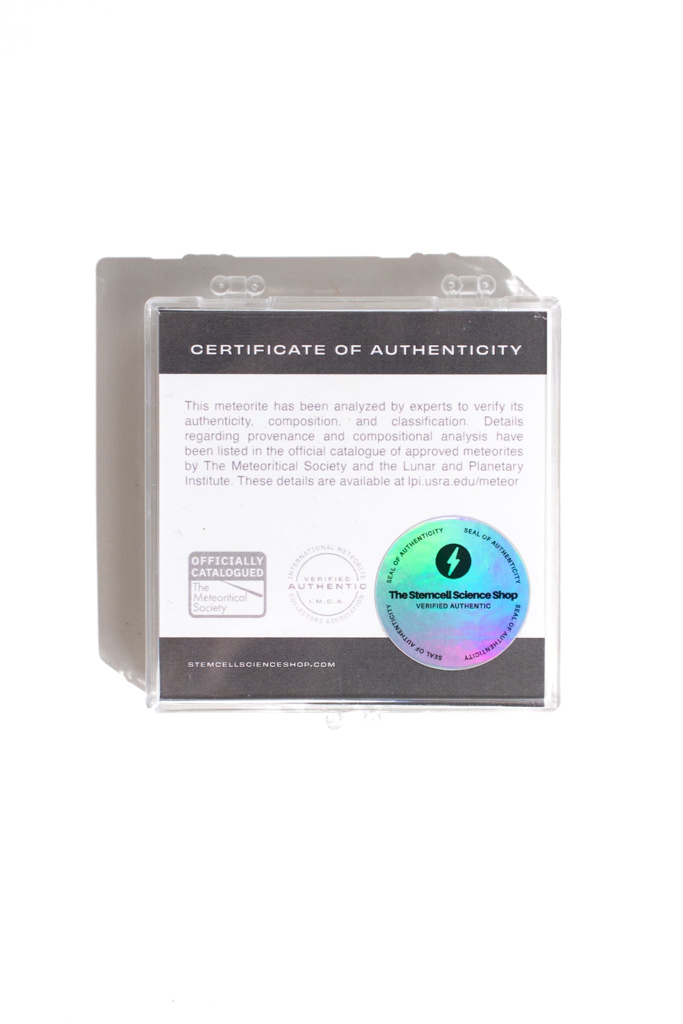 Winonite Meteorite NWA 13790